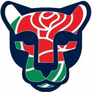 Meet your Posher, Bryan